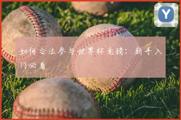 如何合法参与世界杯竞猜:新手入门必看