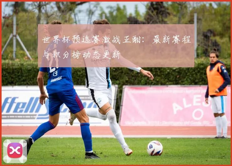 世界杯预选赛激战正酣：最新赛程与积分榜动态更新