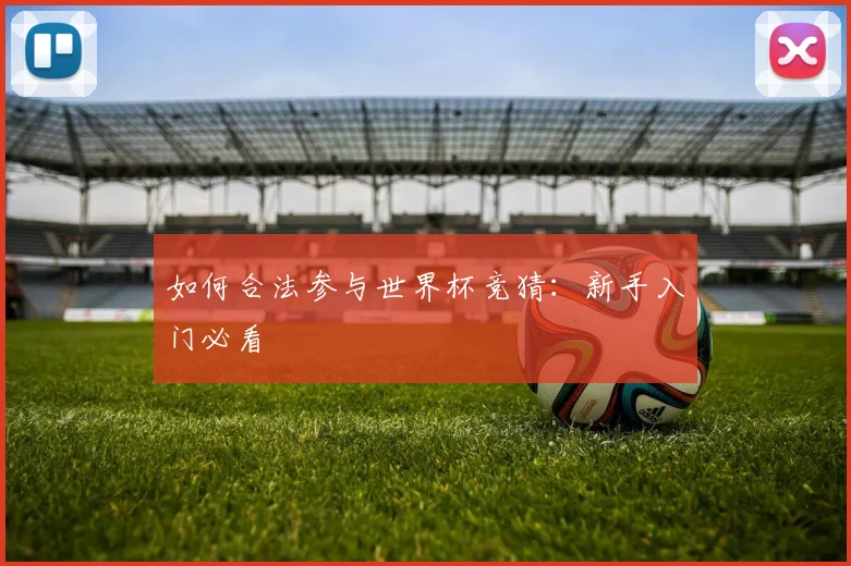 如何合法参与世界杯竞猜:新手入门必看